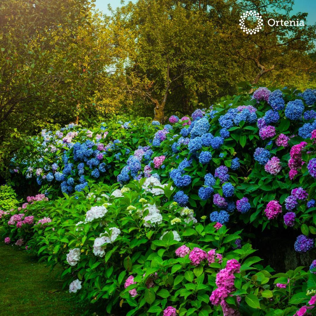 Ortenia Apartments In Nature พอดเชเทอร์เทค ภายนอก รูปภาพ
